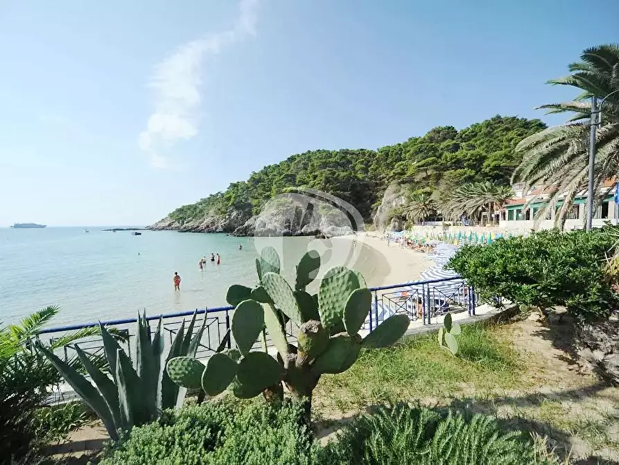 Immagine 25 di Appartamento in vendita  in LocalitÃ  San Domino, s.n. a Isole Tremiti