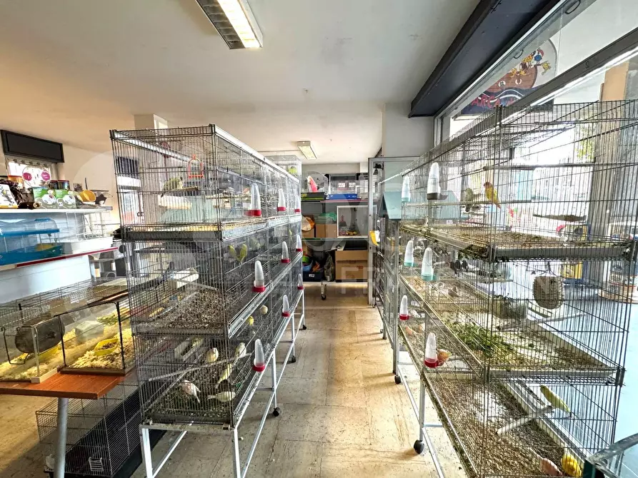 Immagine 7 di Negozio in vendita  in Via Caboto, 24 a Andora