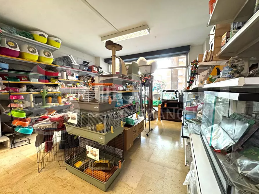 Immagine 5 di Negozio in vendita  in Via Caboto, 24 a Andora