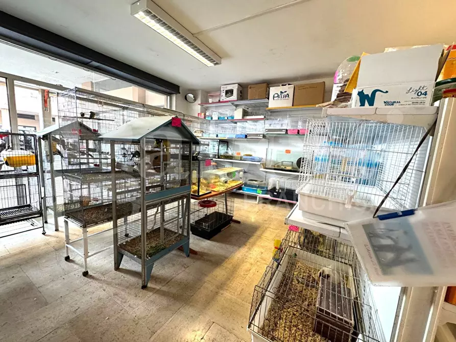 Immagine 6 di Negozio in vendita  in Via Caboto, 24 a Andora