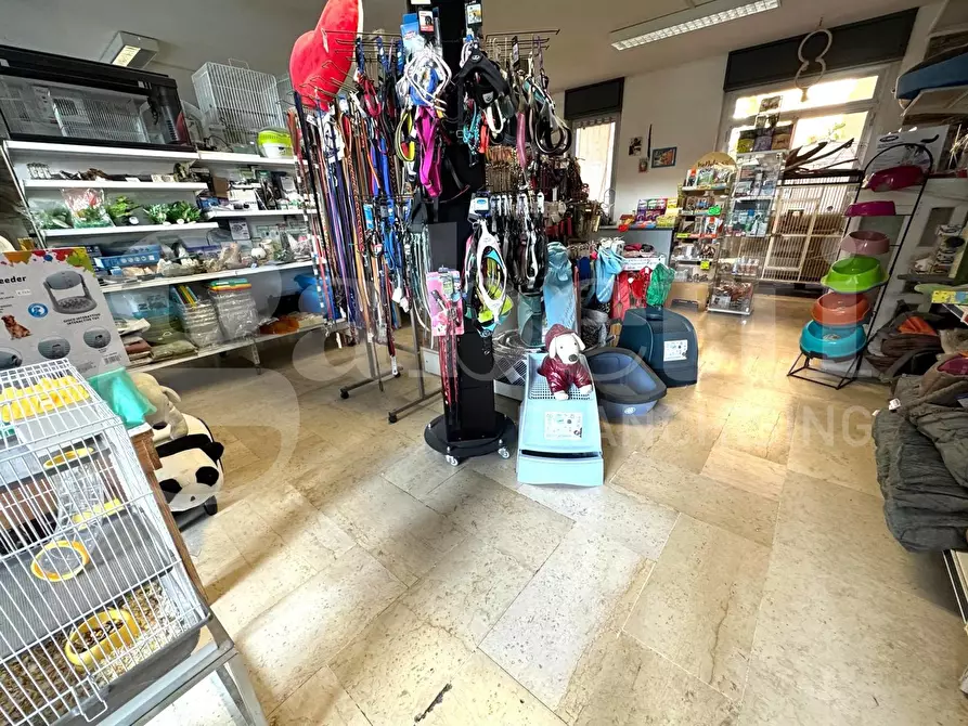 Immagine 3 di Negozio in vendita  in Via Caboto, 24 a Andora
