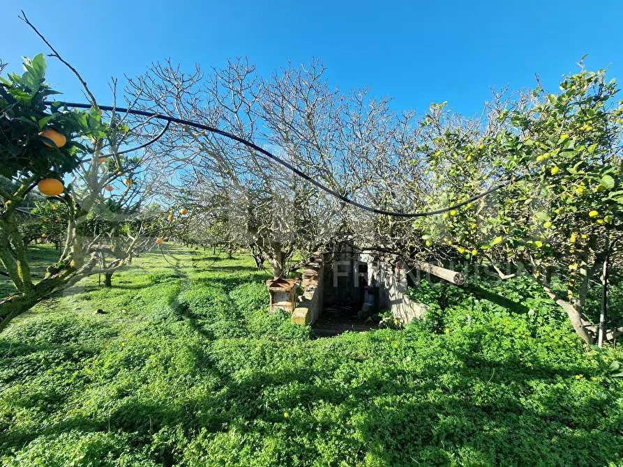 Immagine 8 di Terreno agricolo in vendita  in Via dessi, snc a Sestu