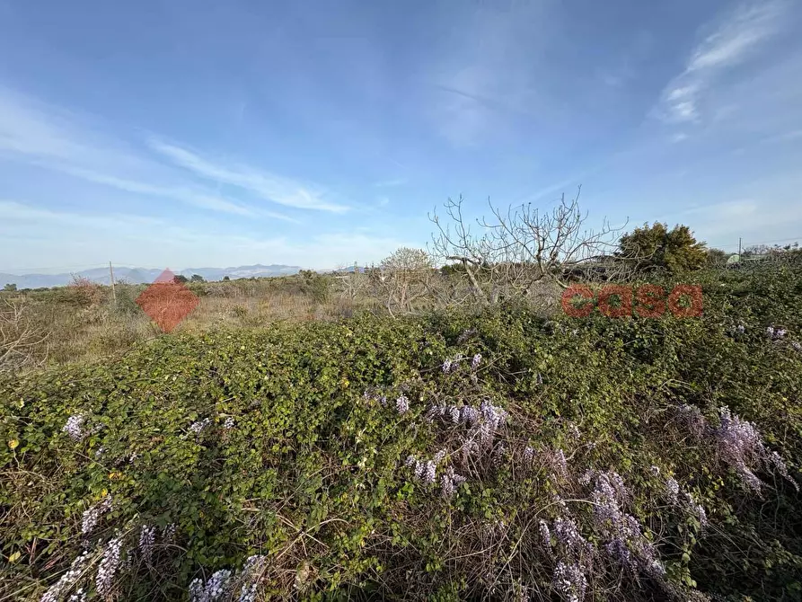 Immagine 4 di Terreno agricolo in vendita  in Via CHIANCHIARELLE, 14 a Fondi