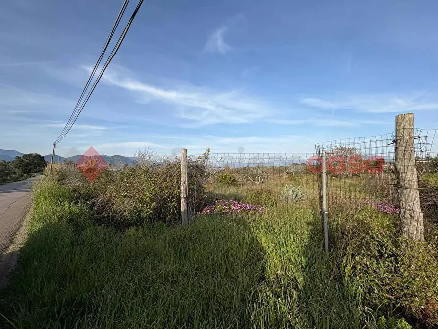 Immagine 2 di Terreno agricolo in vendita  in Via CHIANCHIARELLE, 14 a Fondi