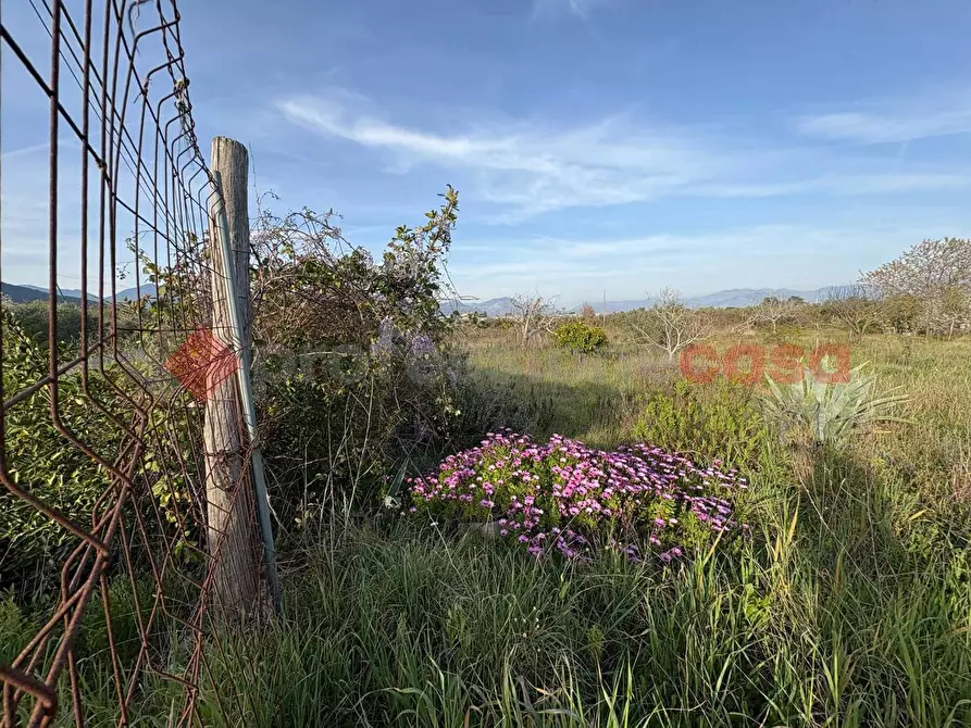 Immagine 3 di Terreno agricolo in vendita  in Via CHIANCHIARELLE, 14 a Fondi