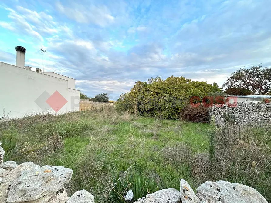 Immagine 5 di Terreno residenziale in vendita  in Via estramurale est a Specchia