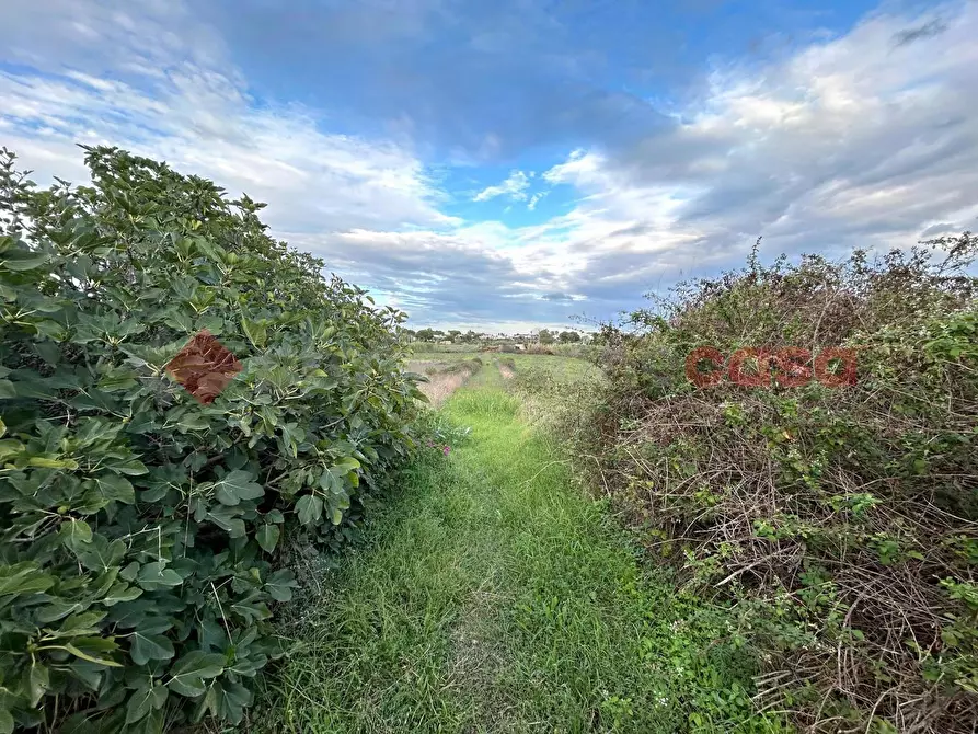 Immagine 4 di Terreno residenziale in vendita  in Via estramurale est a Specchia