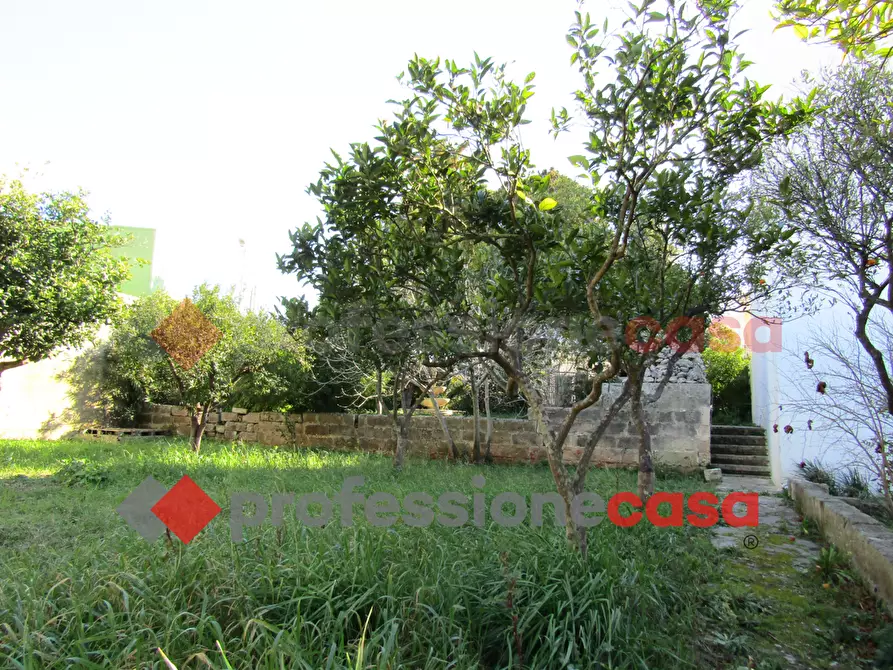 Immagine 4 di Terreno residenziale in vendita  in Via Malta a Sanarica