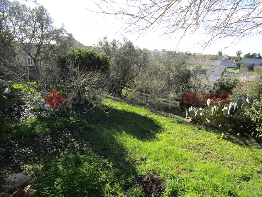 Immagine 4 di Terreno residenziale in vendita  in Via delle mimose a Castro