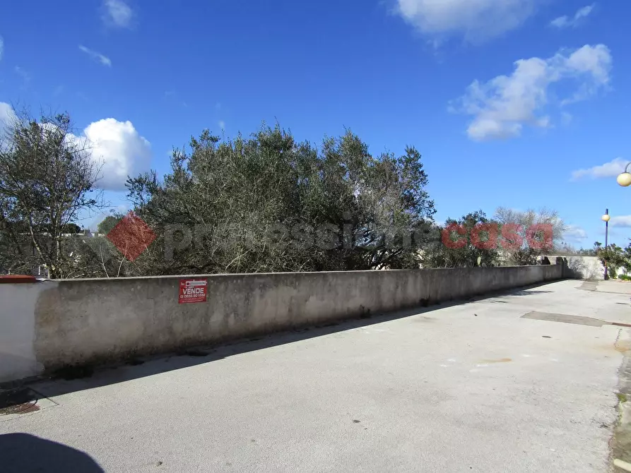 Immagine 3 di Terreno residenziale in vendita  in Via delle mimose a Castro