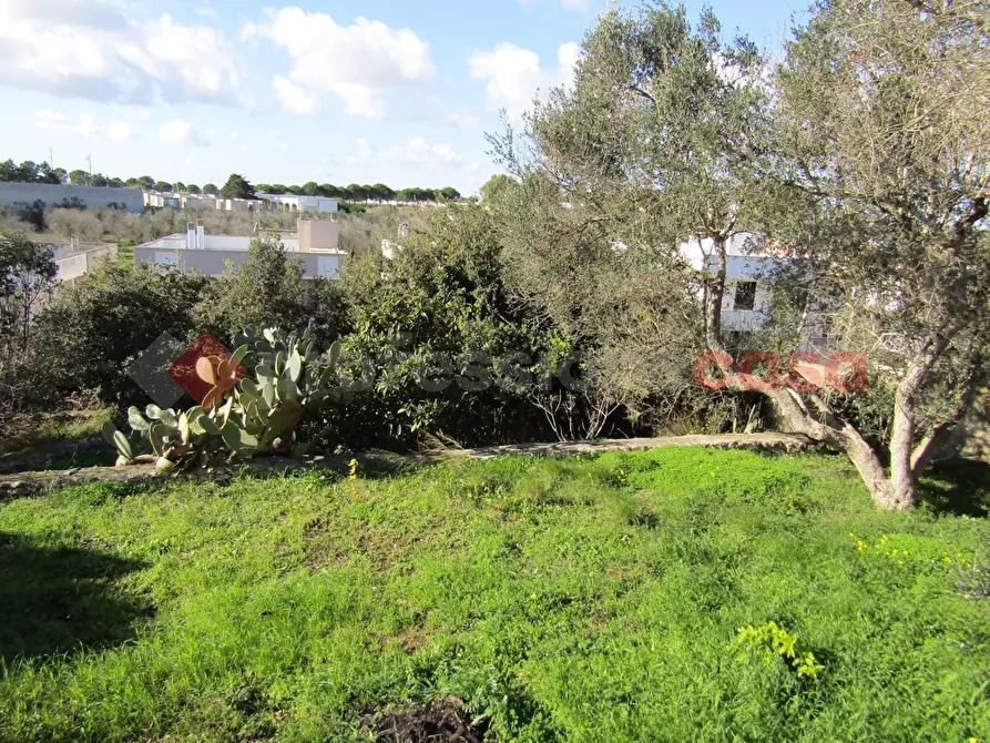 Immagine 5 di Terreno residenziale in vendita  in Via delle mimose a Castro