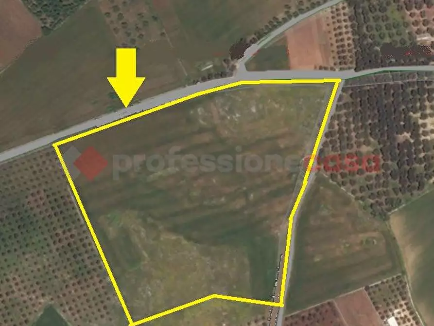 Immagine 3 di Terreno agricolo in vendita  in Via santi stefani a Poggiardo