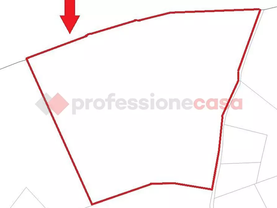 Immagine 4 di Terreno agricolo in vendita  in Via santi stefani a Poggiardo