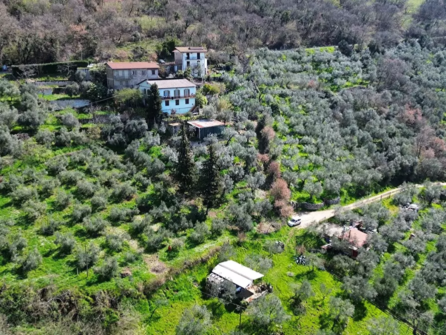 Immagine 40 di Casa indipendente in vendita  in Via SR 155, SNC a Acuto