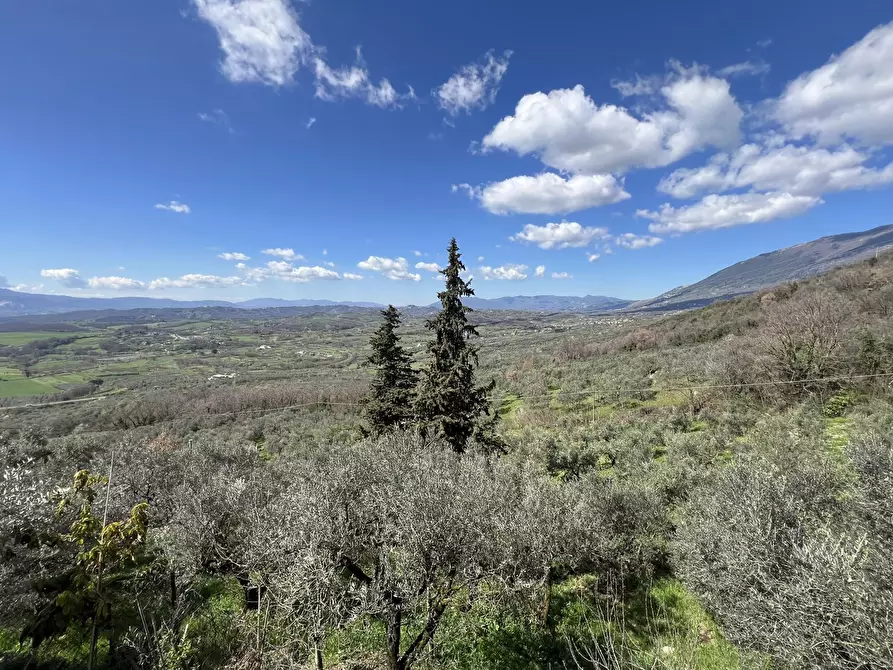 Immagine 30 di Casa indipendente in vendita  in Via SR 155, SNC a Acuto