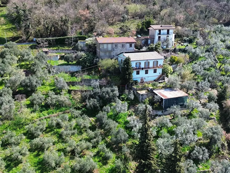 Immagine 39 di Casa indipendente in vendita  in Via SR 155, SNC a Acuto