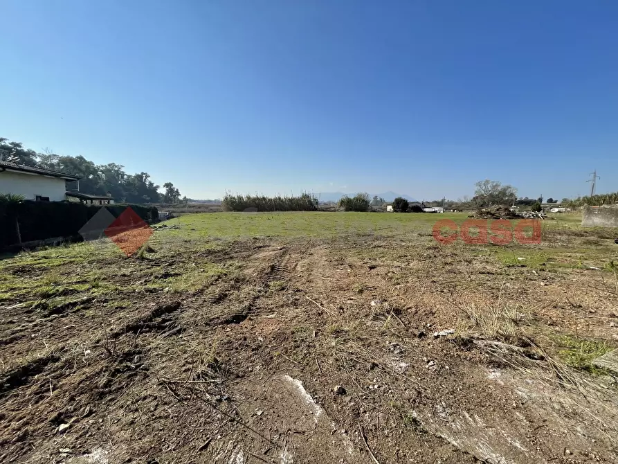 Immagine 13 di Terreno agricolo in vendita  in Via PONTINA, KM101,600 a Terracina