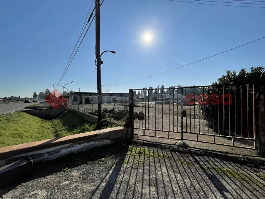 Immagine 20 di Terreno agricolo in vendita  in Via PONTINA, KM101,600 a Terracina