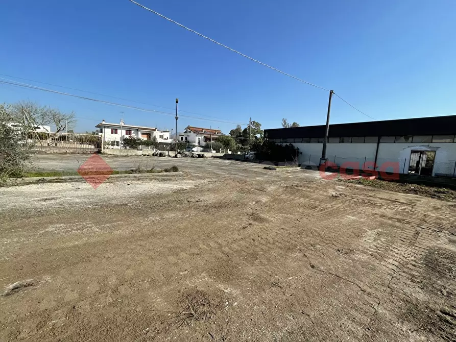 Immagine 11 di Terreno agricolo in vendita  in Via PONTINA, KM101,600 a Terracina