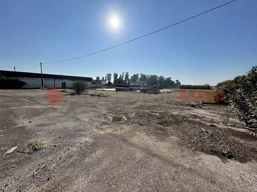 Immagine 15 di Terreno agricolo in vendita  in Via PONTINA, KM101,600 a Terracina