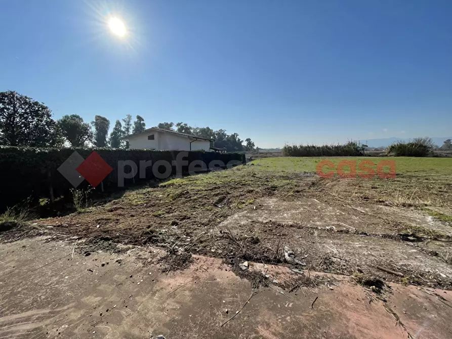 Immagine 17 di Terreno agricolo in vendita  in Via PONTINA, KM101,600 a Terracina