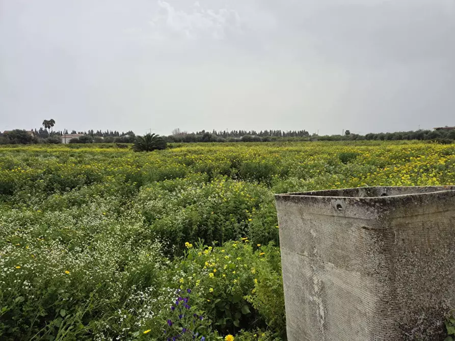 Immagine 3 di Terreno residenziale in vendita  in Contrada cugni, snc a Siracusa