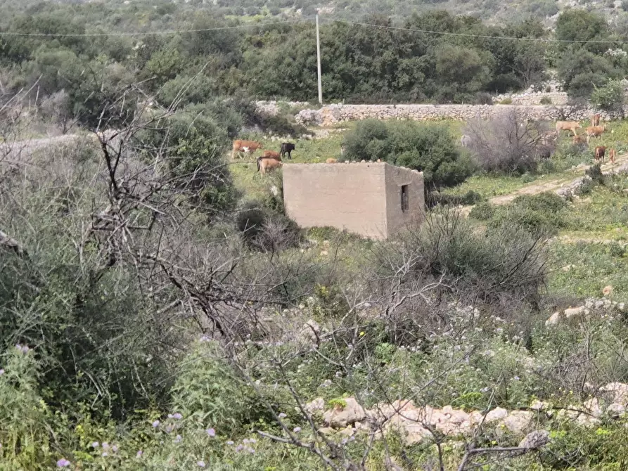 Immagine 9 di Terreno residenziale in vendita  in Contrada cugni, snc a Siracusa
