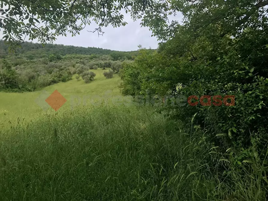 Immagine 2 di Terreno agricolo in affitto  in Strada fosso arcese, 00 a Tivoli