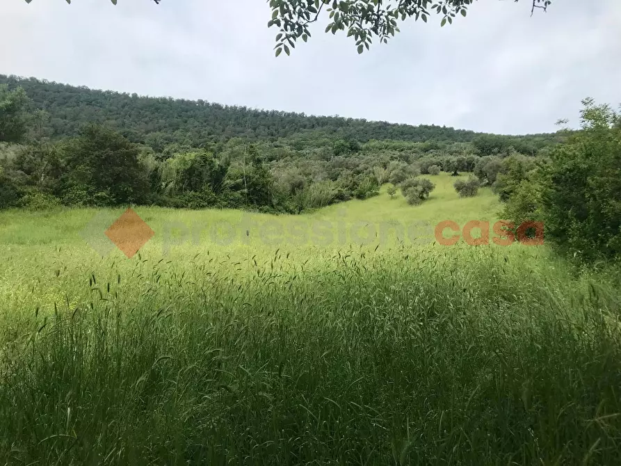 Immagine 4 di Terreno agricolo in affitto  in Strada fosso arcese, 00 a Tivoli
