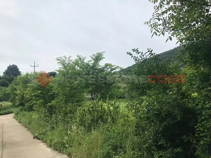 Immagine 5 di Terreno agricolo in affitto  in Strada fosso arcese, 00 a Tivoli