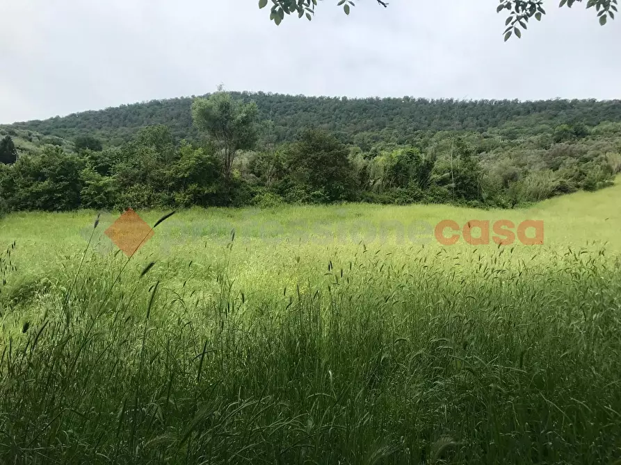 Immagine 3 di Terreno agricolo in affitto  in Strada fosso arcese, 00 a Tivoli