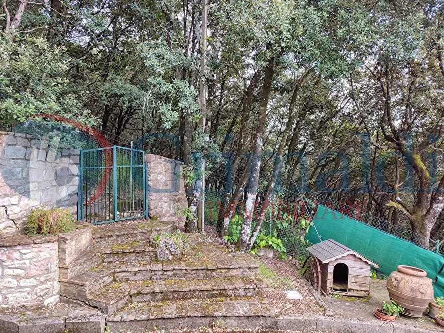 Immagine 46 di Villa in vendita  in Via Col di Lana a Perugia