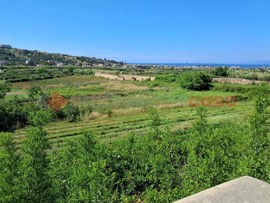 Immagine 7 di Terreno agricolo in vendita  in Via Consortile Catona, 263 a Reggio Di Calabria