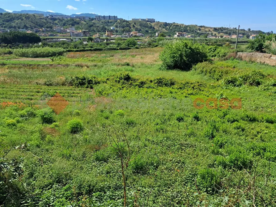 Immagine 9 di Terreno agricolo in vendita  in Via Consortile Catona, 263 a Reggio Di Calabria