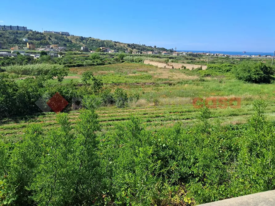 Immagine 8 di Terreno agricolo in vendita  in Via Consortile Catona, 263 a Reggio Di Calabria