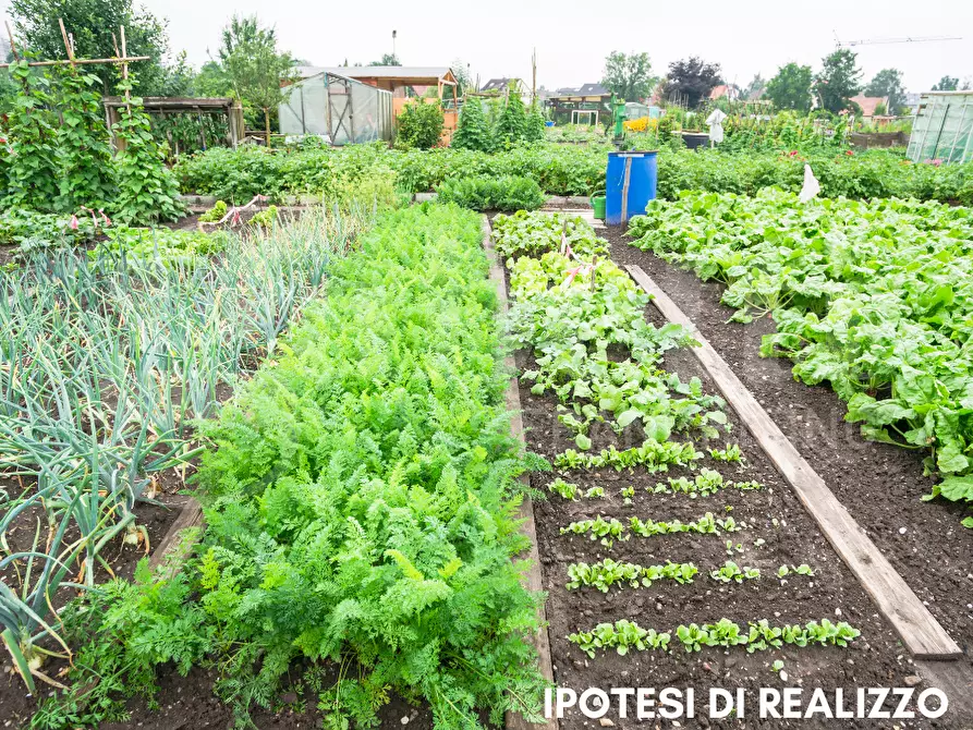 Immagine 8 di Terreno agricolo in vendita  in Via SANT'ANNA - VIA CANAL DI VALLE, 00 a Chioggia