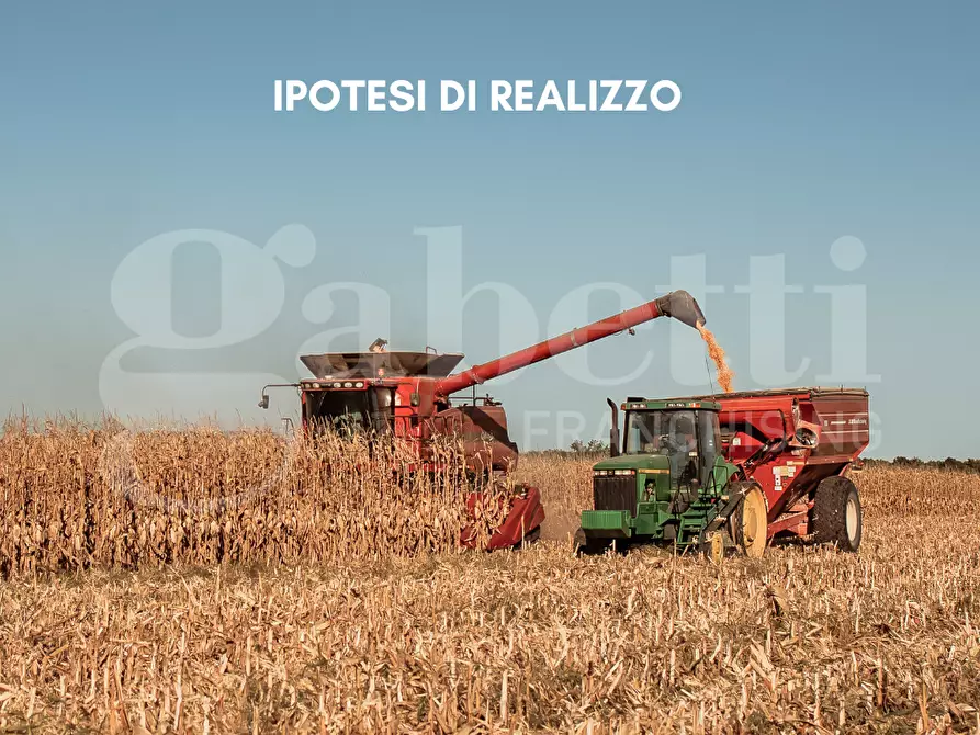 Immagine 5 di Terreno agricolo in vendita  in Via SANT'ANNA - VIA CANAL DI VALLE, 00 a Chioggia