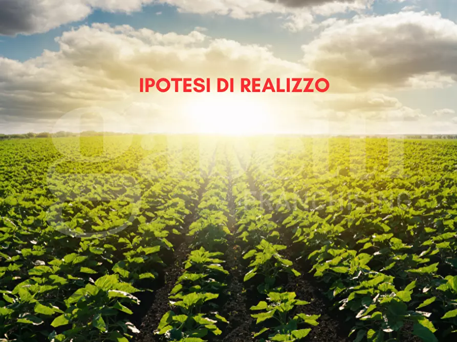 Immagine 1 di Terreno agricolo in vendita  in Via SANT'ANNA - VIA CANAL DI VALLE, 00 a Chioggia