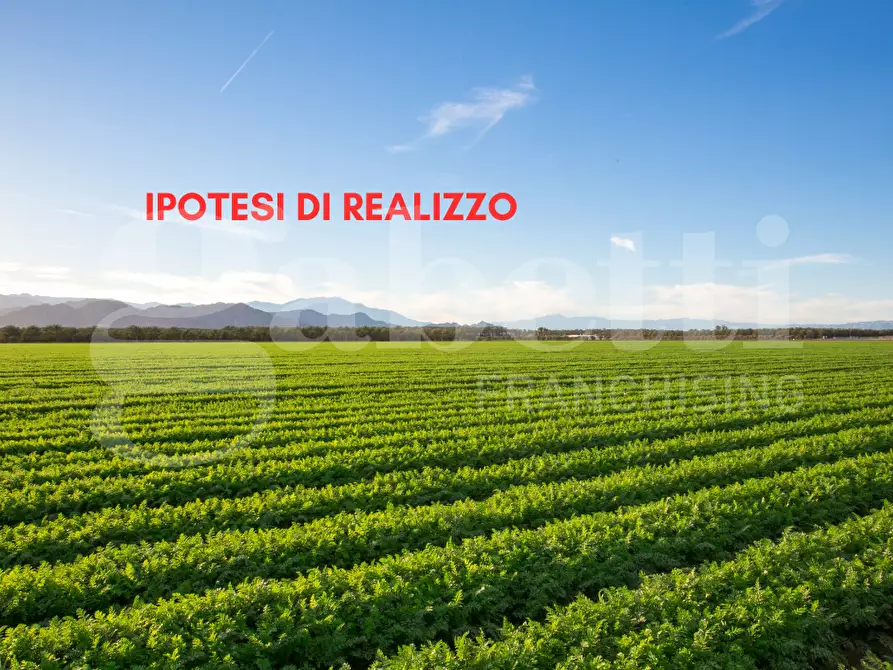 Immagine 3 di Terreno agricolo in vendita  in Via SANT'ANNA - VIA CANAL DI VALLE, 00 a Chioggia