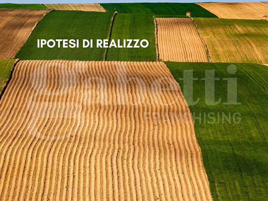 Immagine 4 di Terreno agricolo in vendita  in Via SANT'ANNA - VIA CANAL DI VALLE, 00 a Chioggia