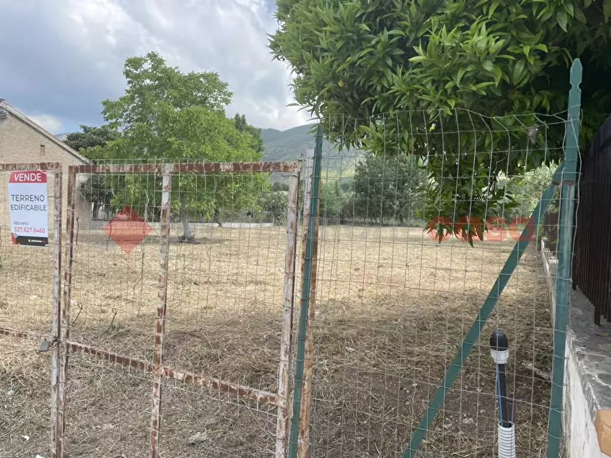 Immagine 11 di Terreno residenziale in vendita  in Via Leporano, snc a Camigliano
