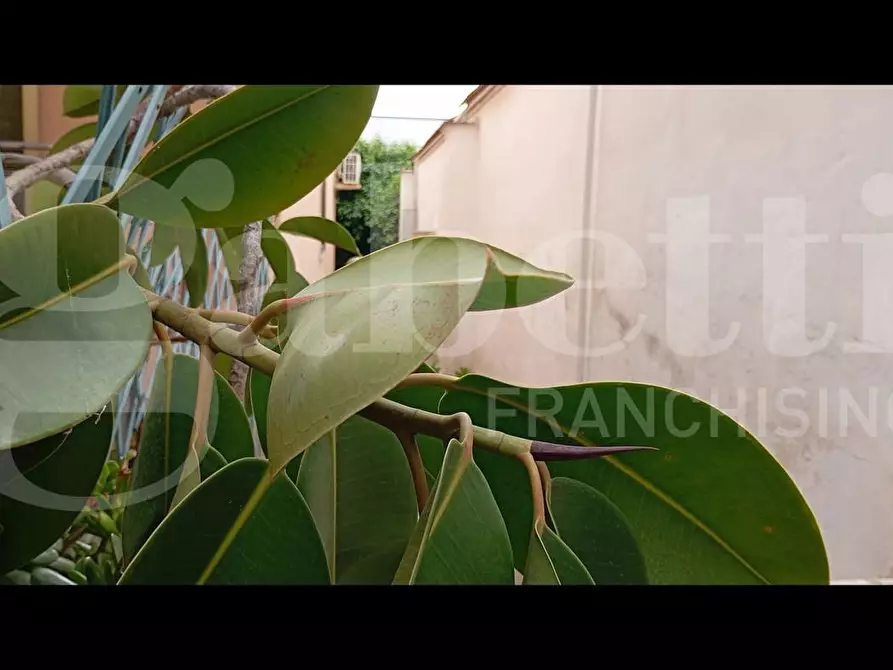 Immagine 20 di Casa quadrifamiliare in vendita  in Via Bianchi pittori, 3 a Lecce