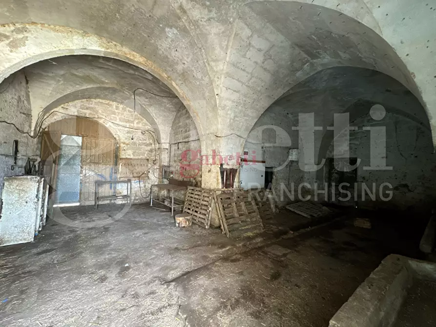 Immagine 2 di Villa in vendita  in Strada Provinciale 101, 1 a Campi Salentina