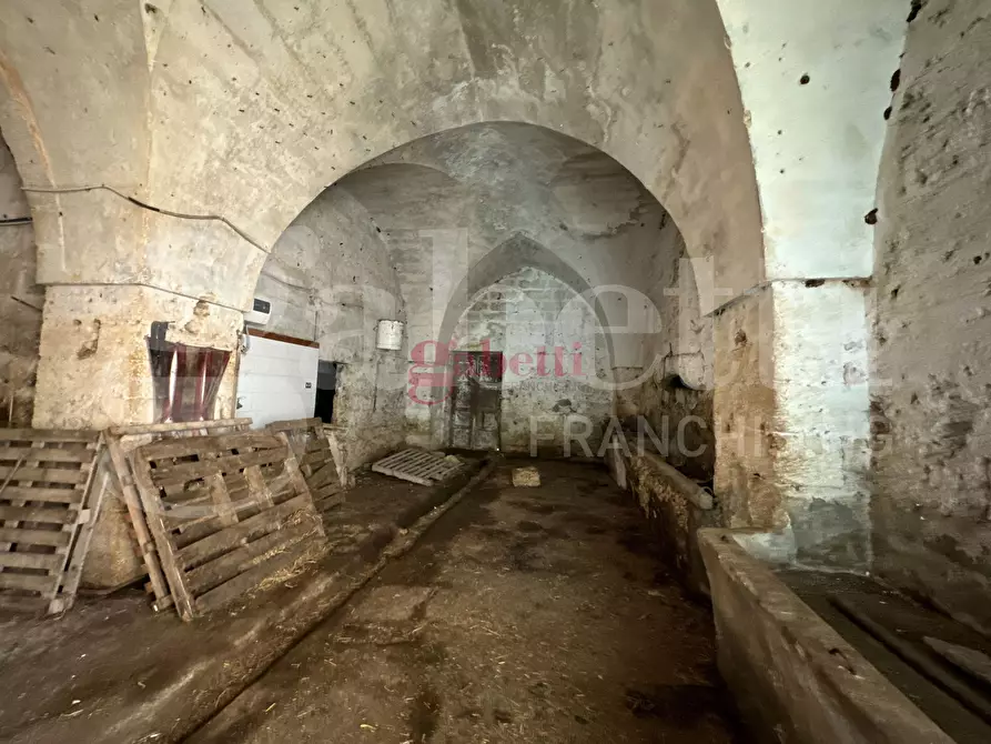 Immagine 3 di Villa in vendita  in Strada Provinciale 101, 1 a Campi Salentina