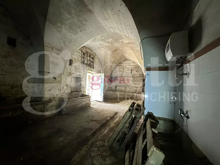 Immagine 6 di Villa in vendita  in Strada Provinciale 101, 1 a Campi Salentina