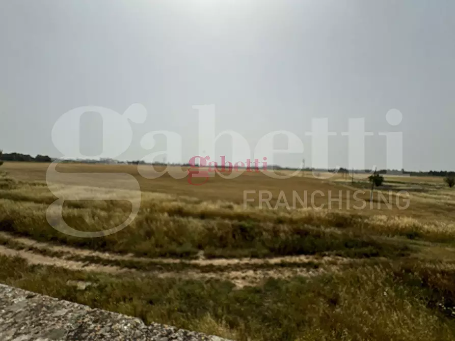 Immagine 22 di Villa in vendita  in Strada Provinciale 101, 1 a Campi Salentina