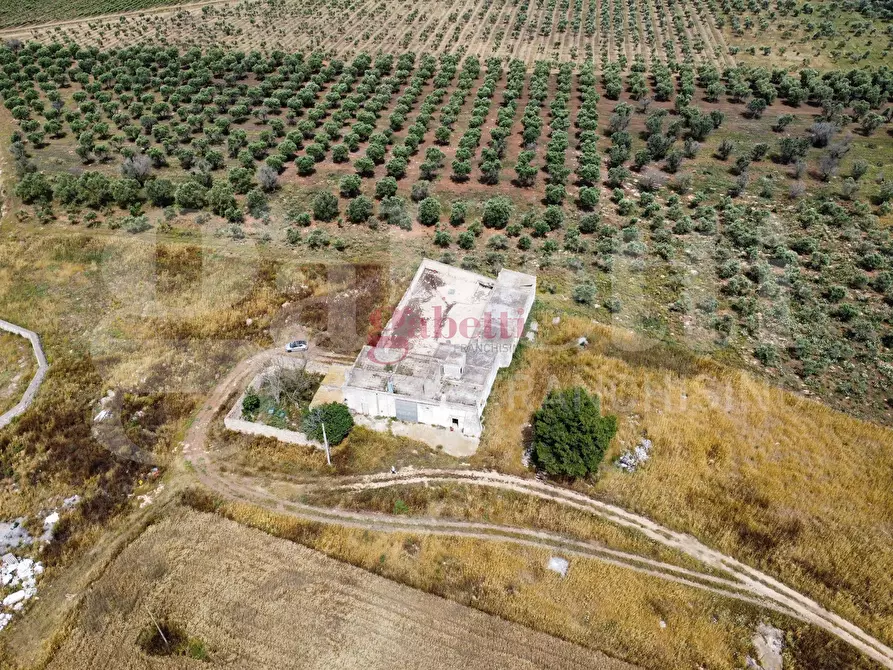 Immagine 33 di Villa in vendita  in Strada Provinciale 101, 1 a Campi Salentina