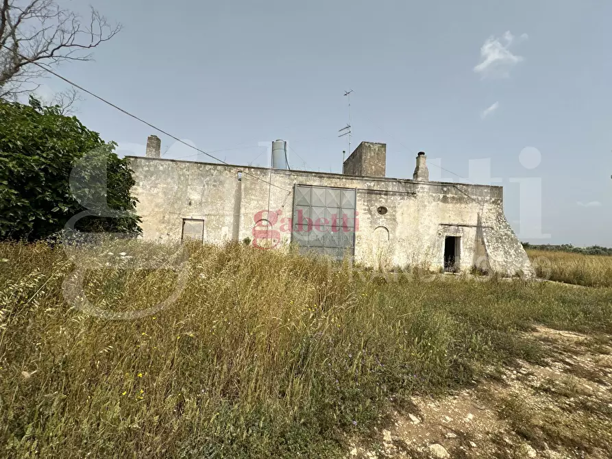 Immagine 13 di Villa in vendita  in Strada Provinciale 101, 1 a Campi Salentina