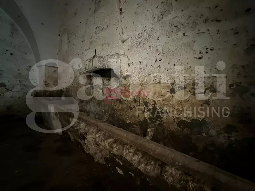 Immagine 4 di Villa in vendita  in Strada Provinciale 101, 1 a Campi Salentina