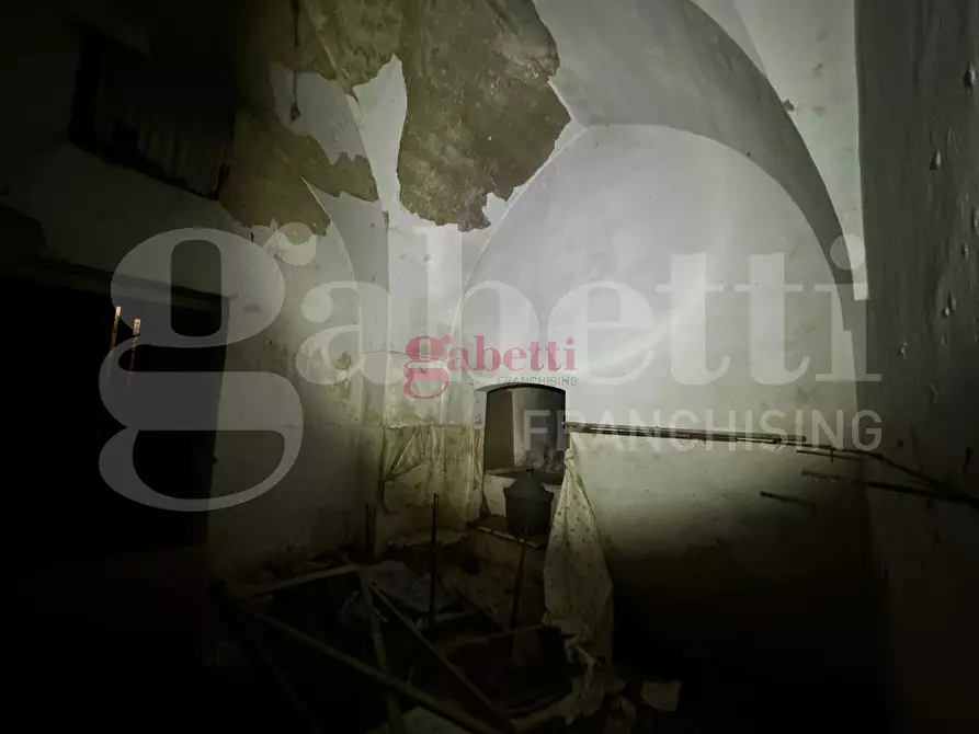 Immagine 5 di Villa in vendita  in Strada Provinciale 101, 1 a Campi Salentina